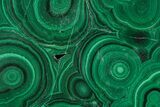 Flowery Polished Malachite Slab - DR Congo #360531-1